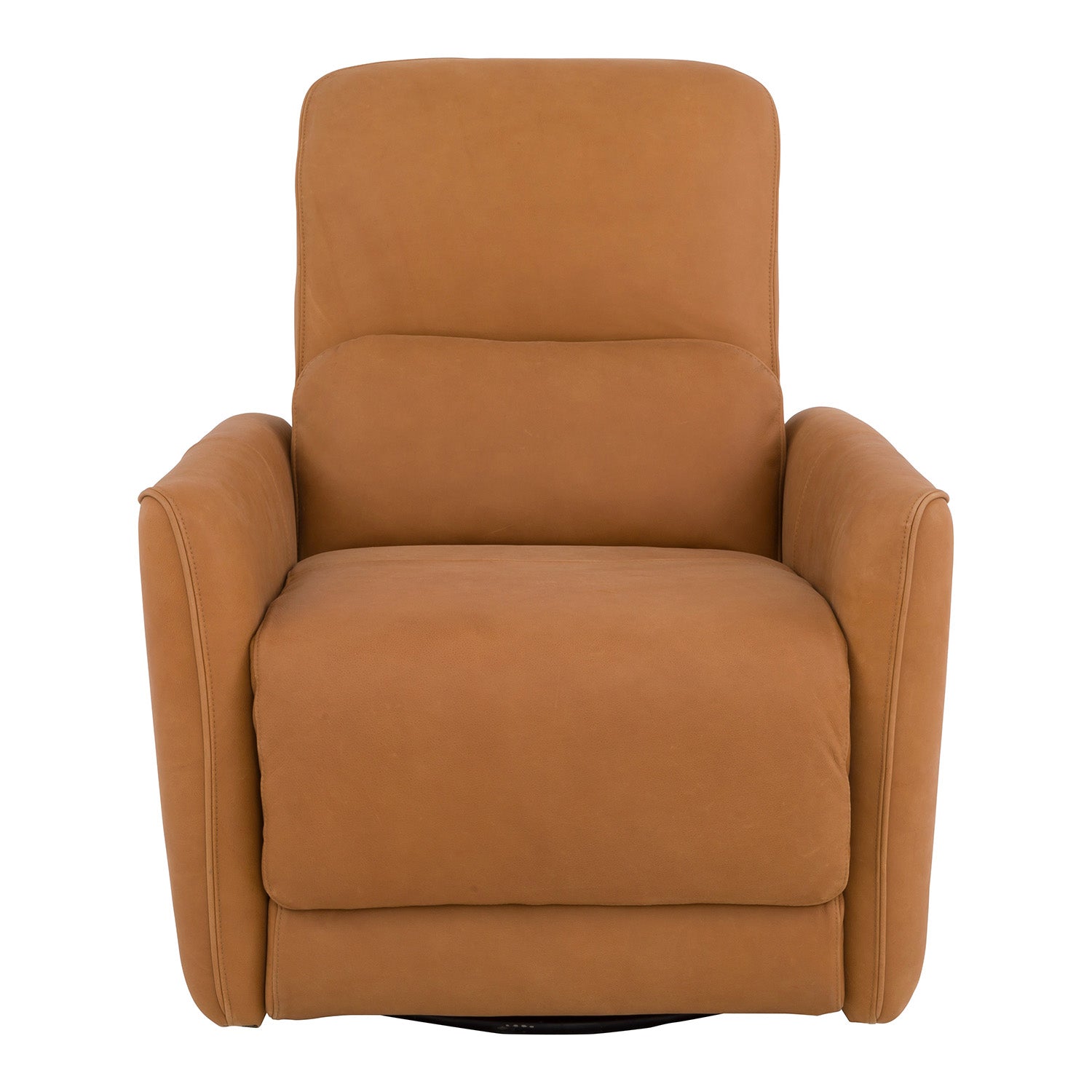 Fairfield Chair The Leather Reserve Ready-to-Ship Upholstery Dane Power Recliner
