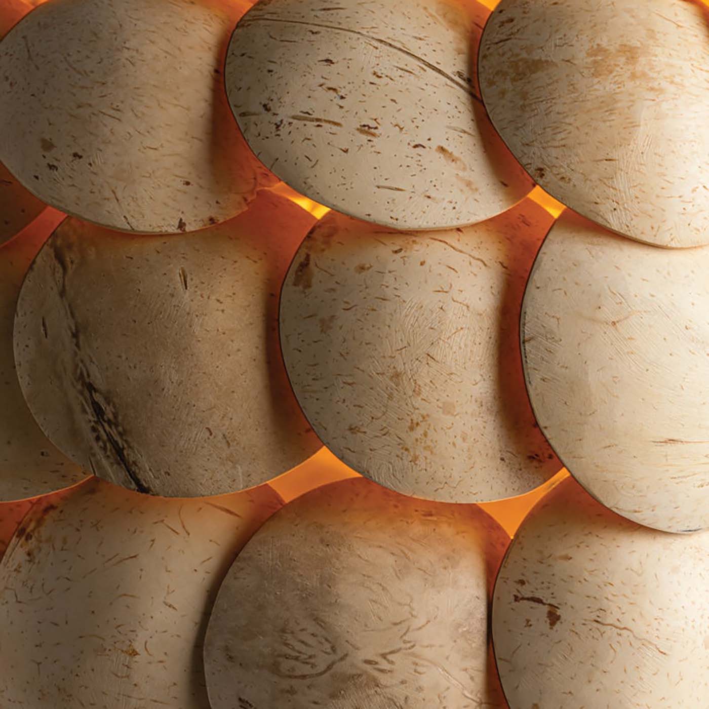 Troy Lighting Edric Pendant