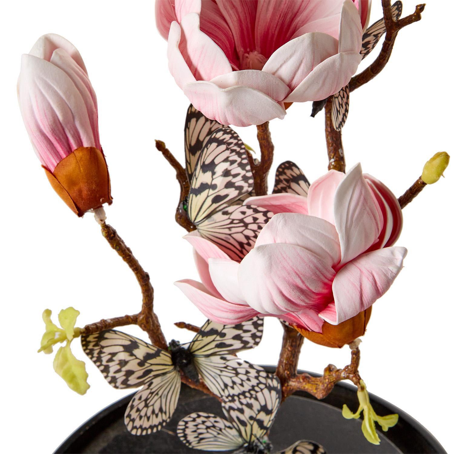 Flora and Fauna Butterflies in Round Dome Set of 2