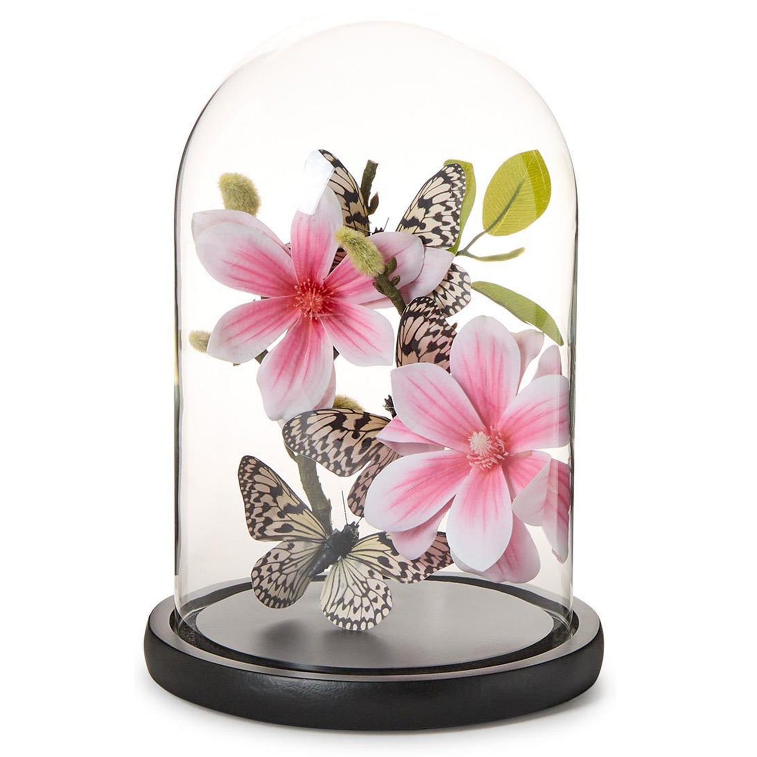 Flora and Fauna Butterflies in Round Dome Set of 2