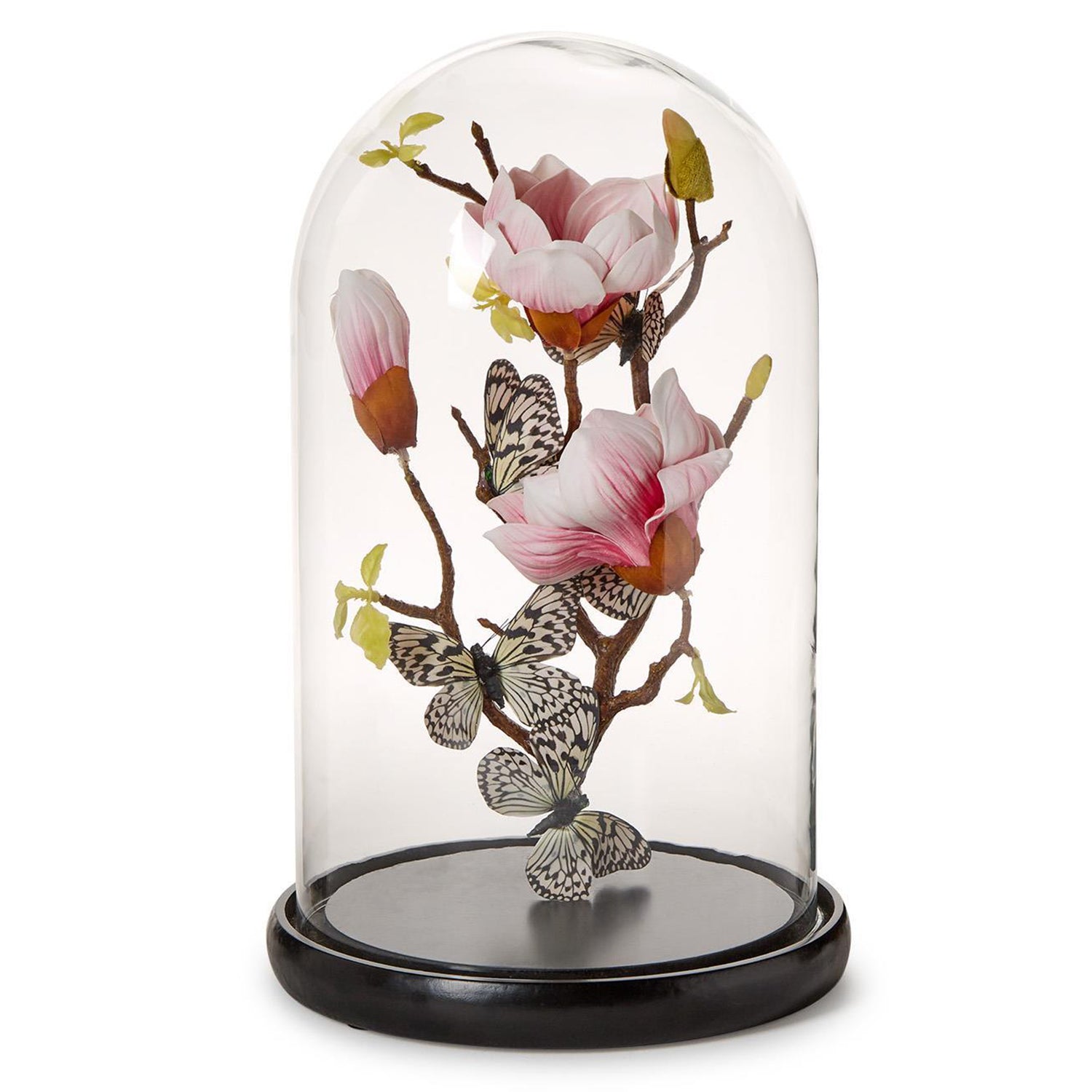 Flora and Fauna Butterflies in Round Dome Set of 2