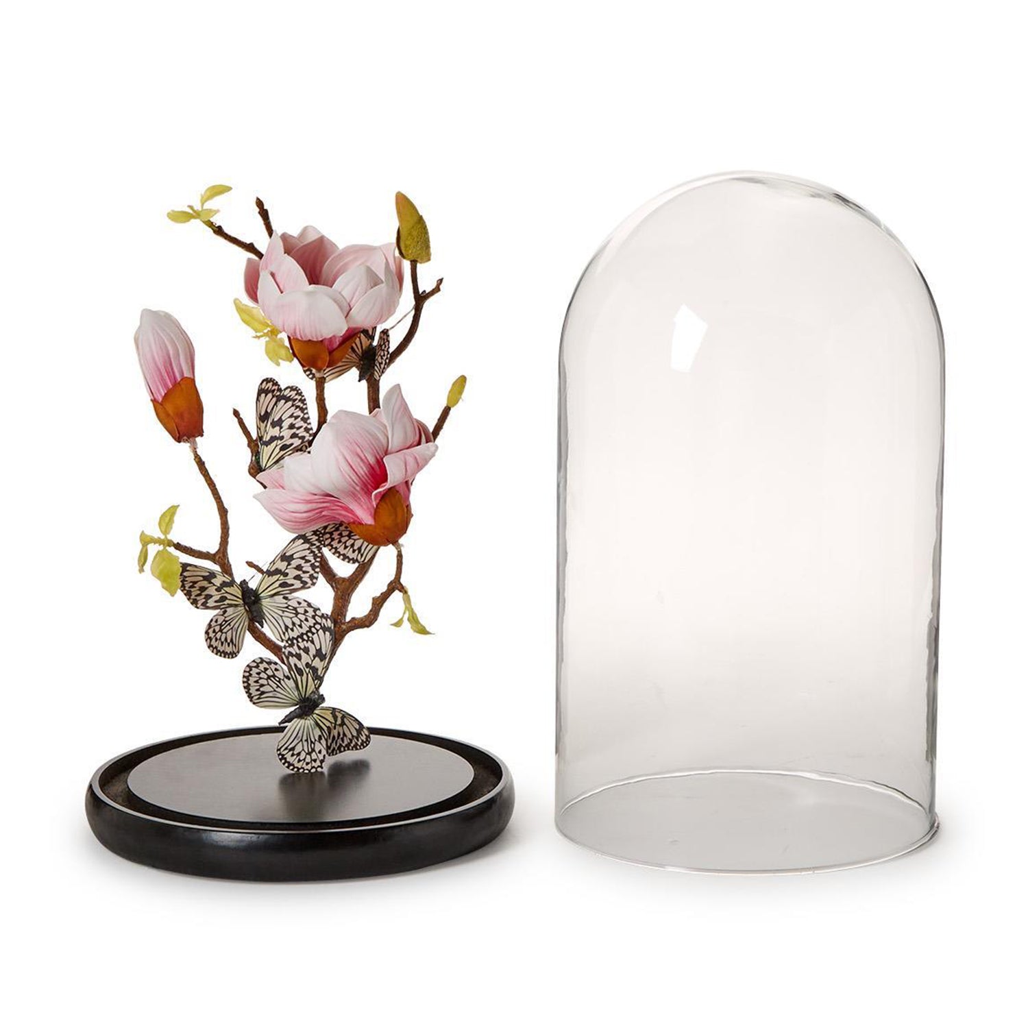 Flora and Fauna Butterflies in Round Dome Set of 2