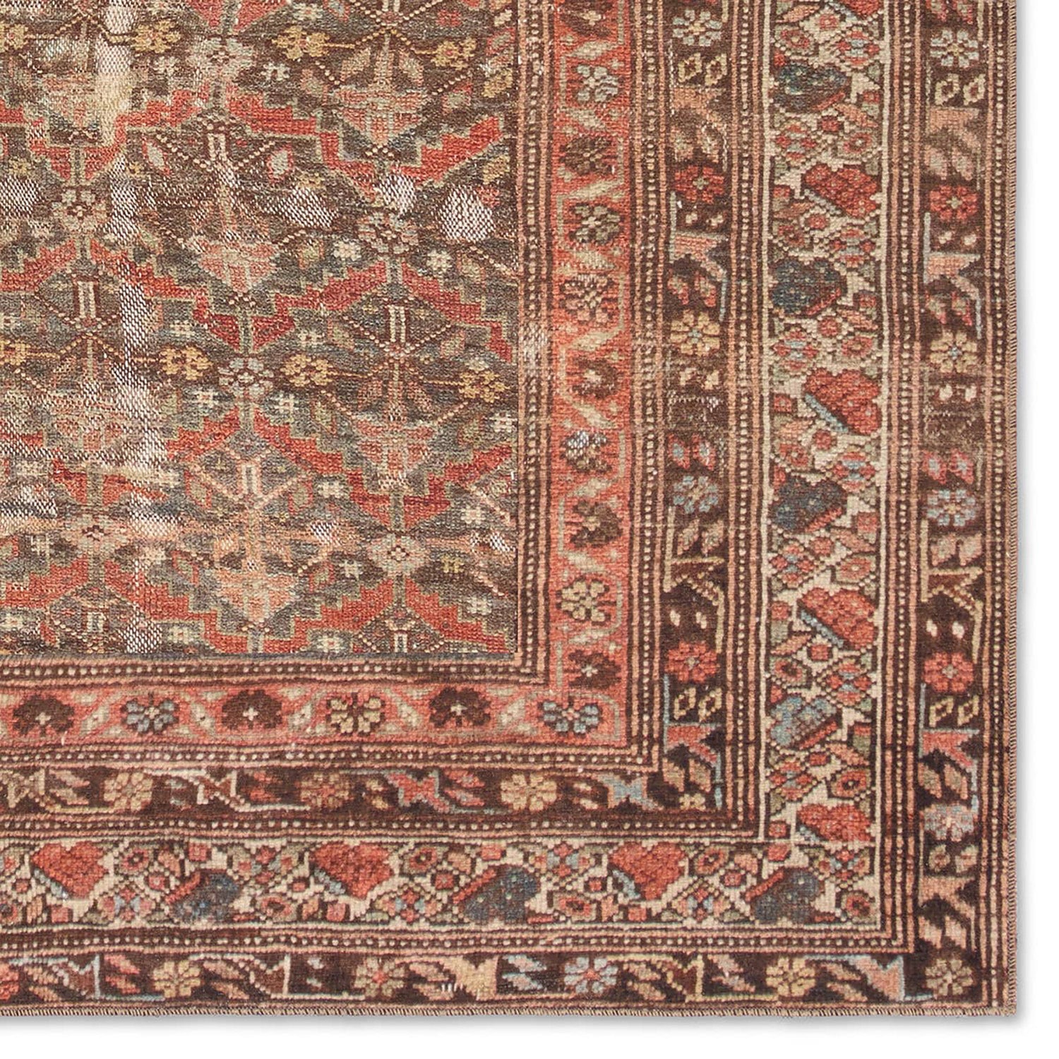 Label J by Jaipur Living Garcia Arjoel Power Loomed Rug