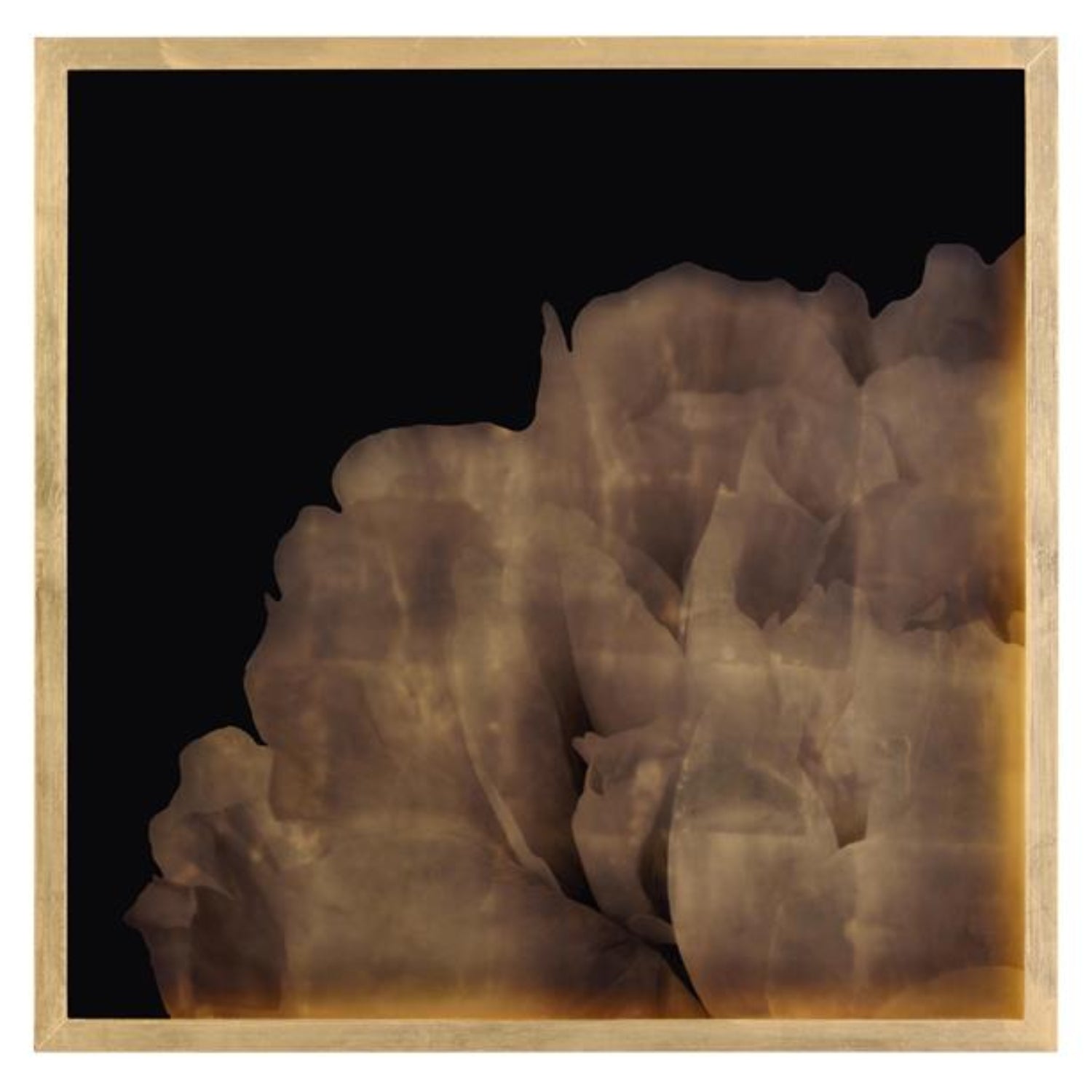 John Richard Mark Mcdowell's Shi Hana Framed Art Set of 4