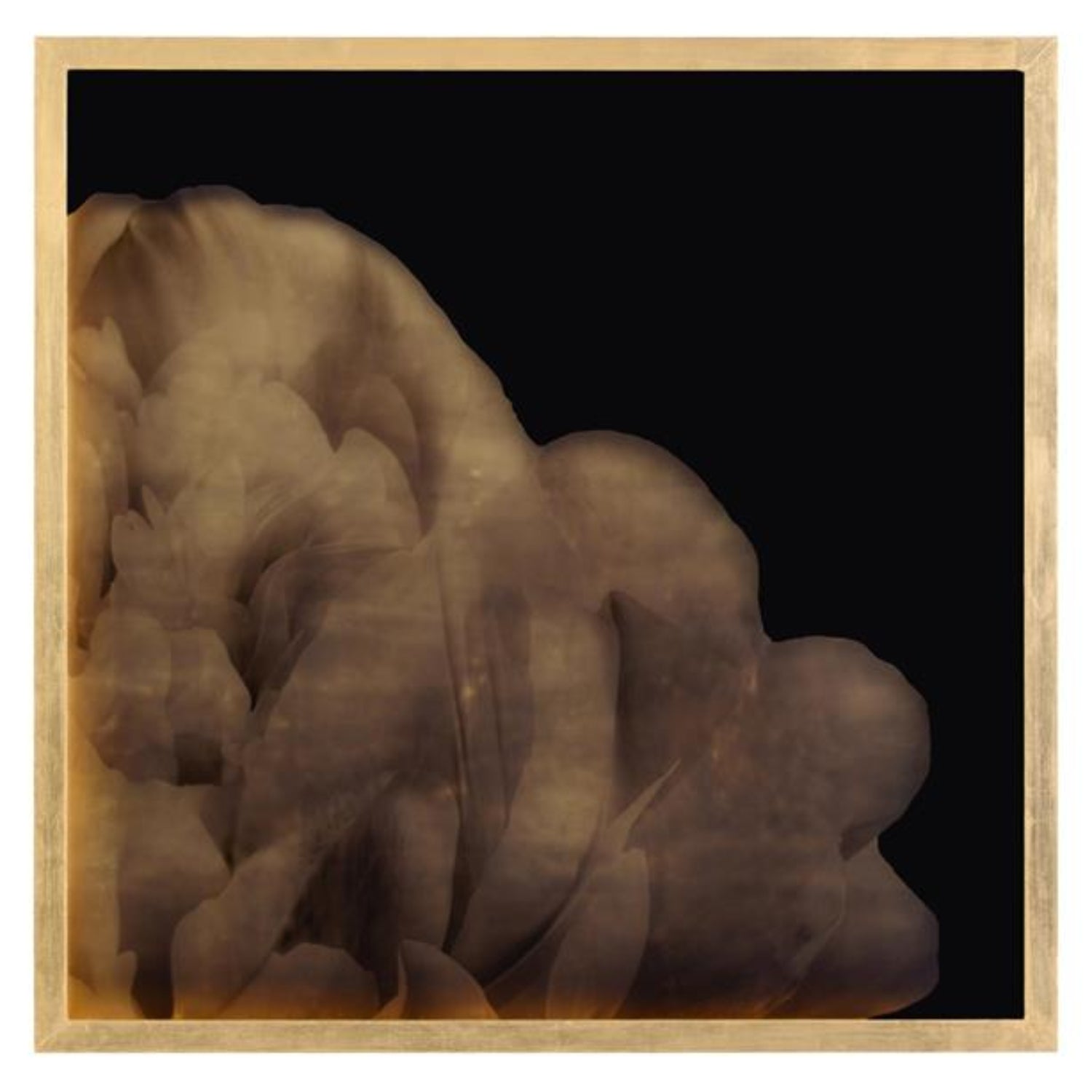 John Richard Mark Mcdowell's Shi Hana Framed Art Set of 4