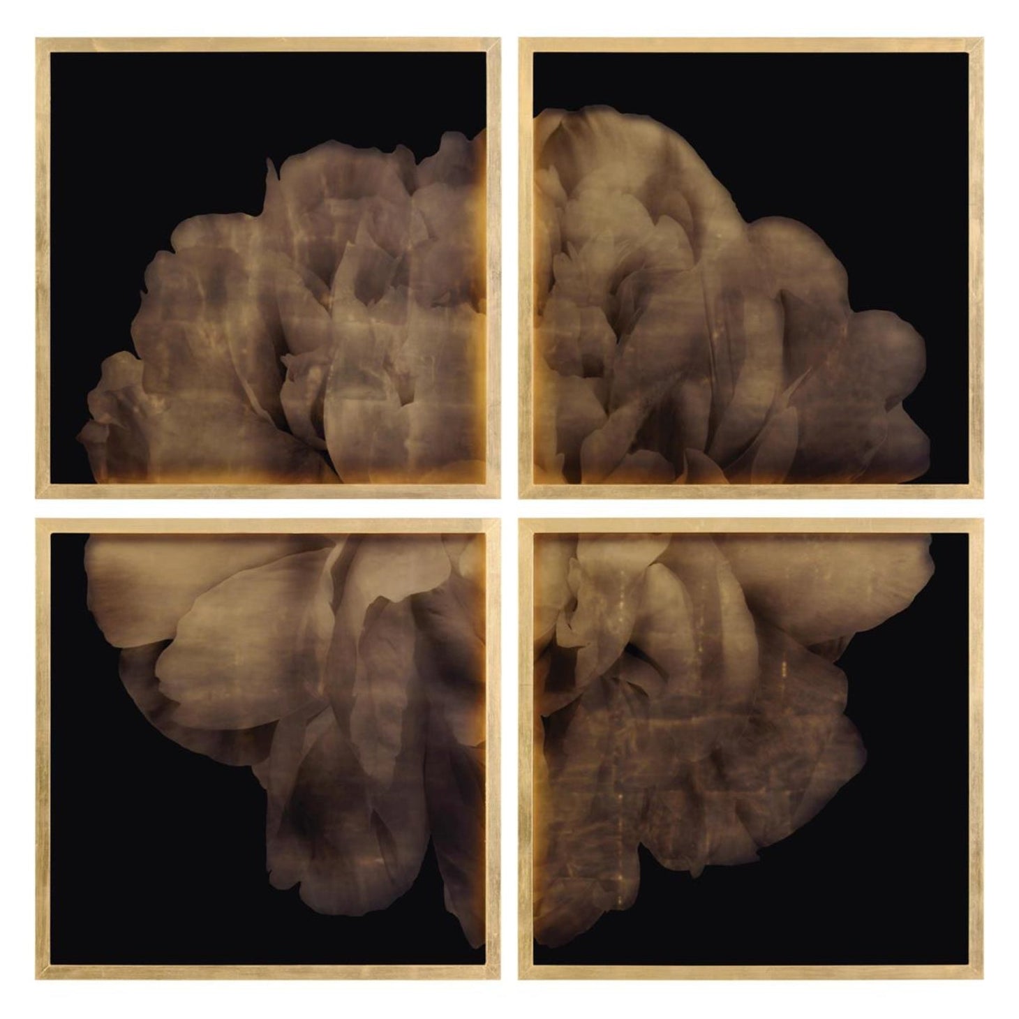 John Richard Mark Mcdowell's Shi Hana Framed Art Set of 4