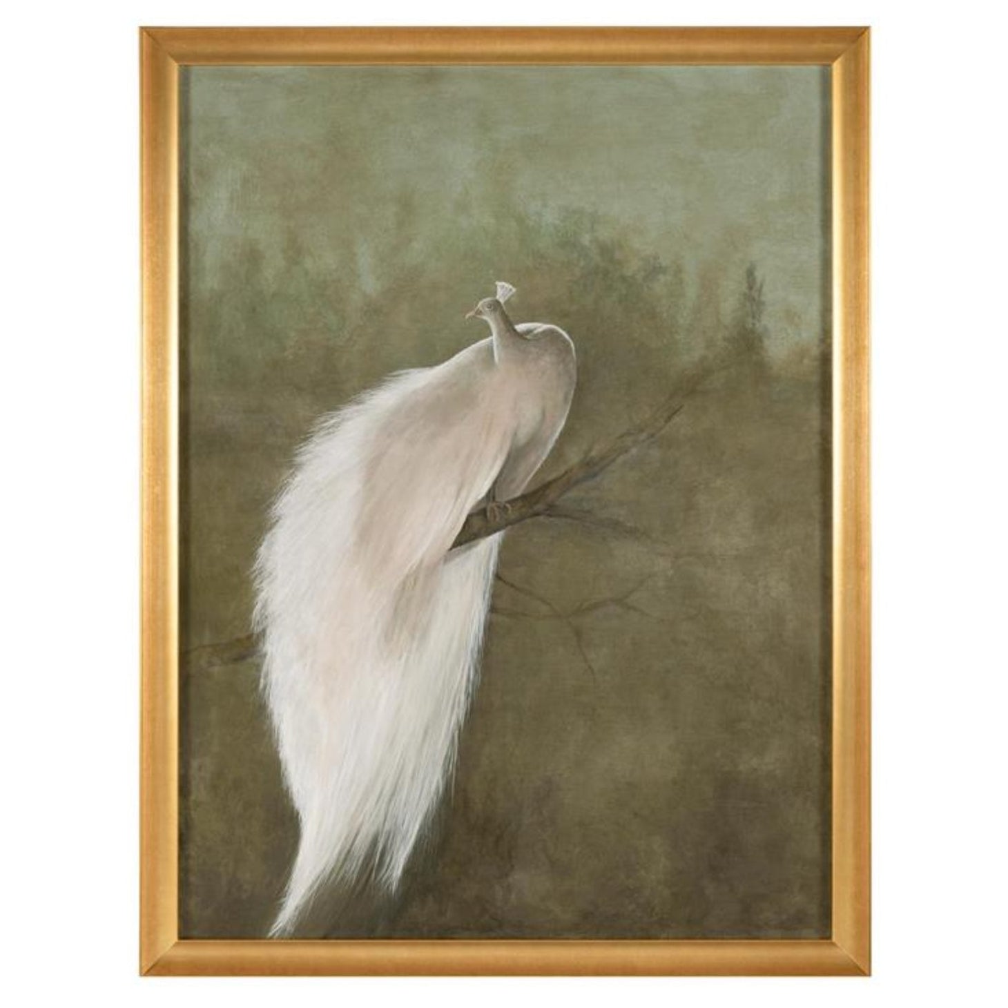 John Richard Debra Ferrari's the White Peacock Framed Art