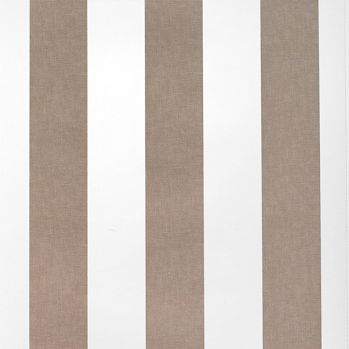 Gaston Y Daniela Milan Topo Wallpaper