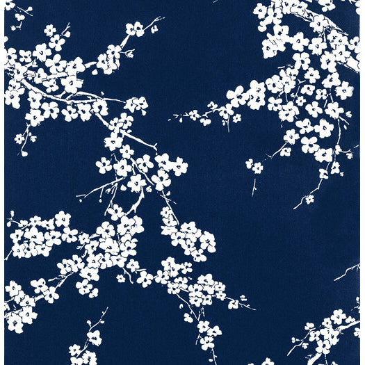 Gaston Y Daniela Primavera Azul Wallpaper