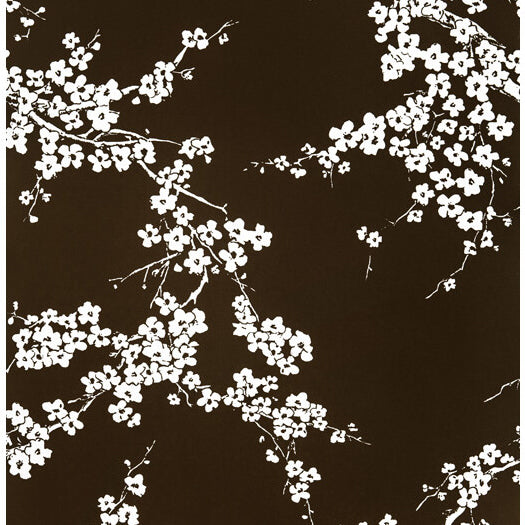 Gaston Y Daniela Primavera Chocolate Wallpaper