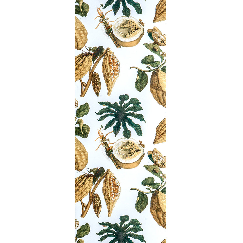 Gaston Y Daniela Amazonia Original Wallpaper