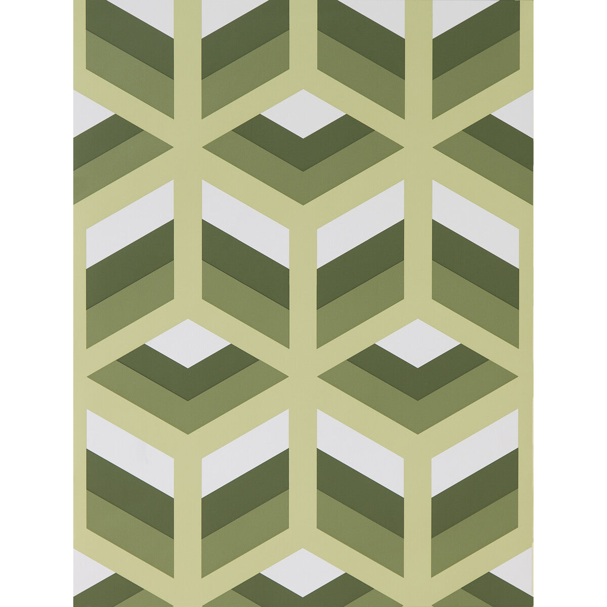 Gaston Y Daniela Xabi Verde Wallpaper