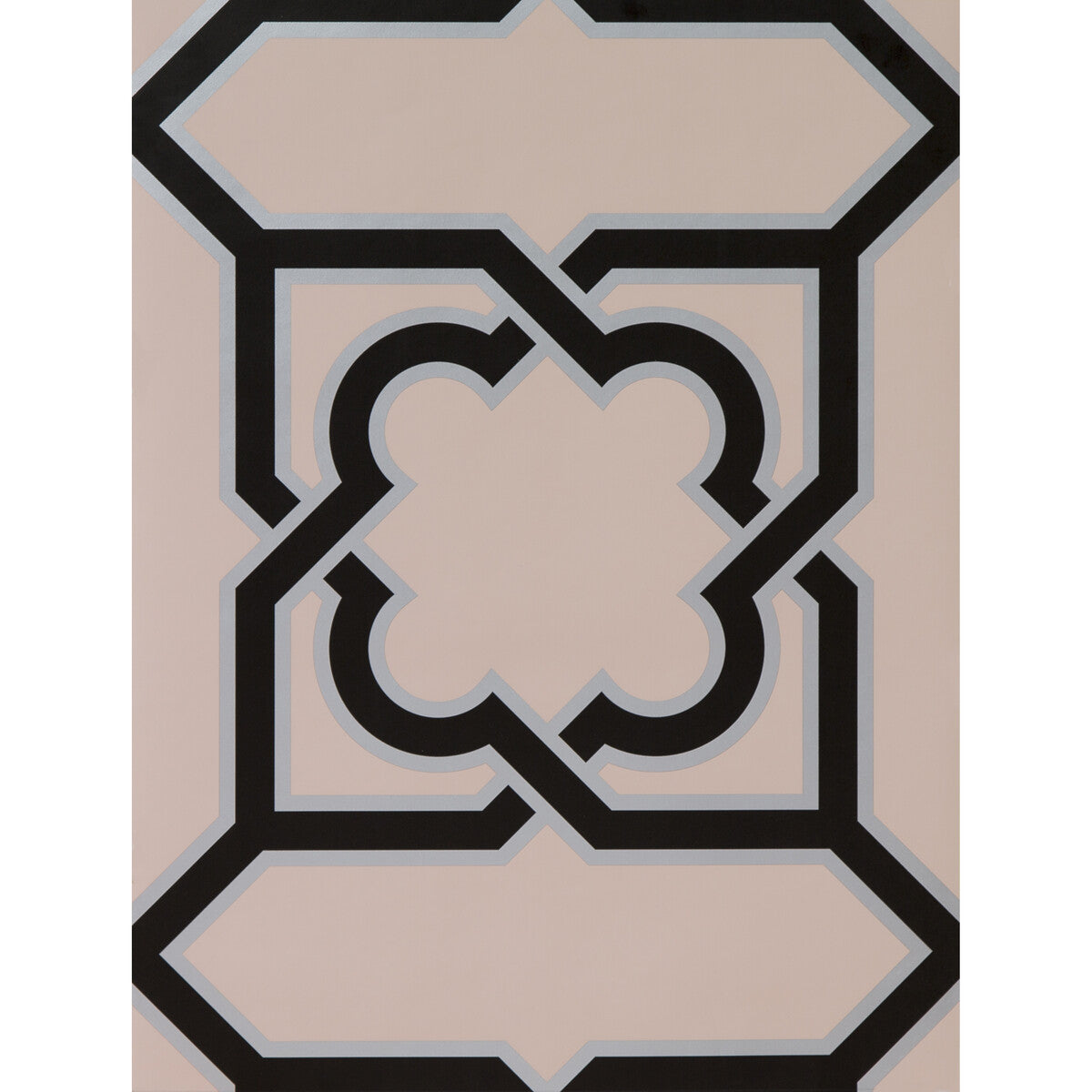 Gaston Y Daniela Martin Rosa/Onyx Wallpaper