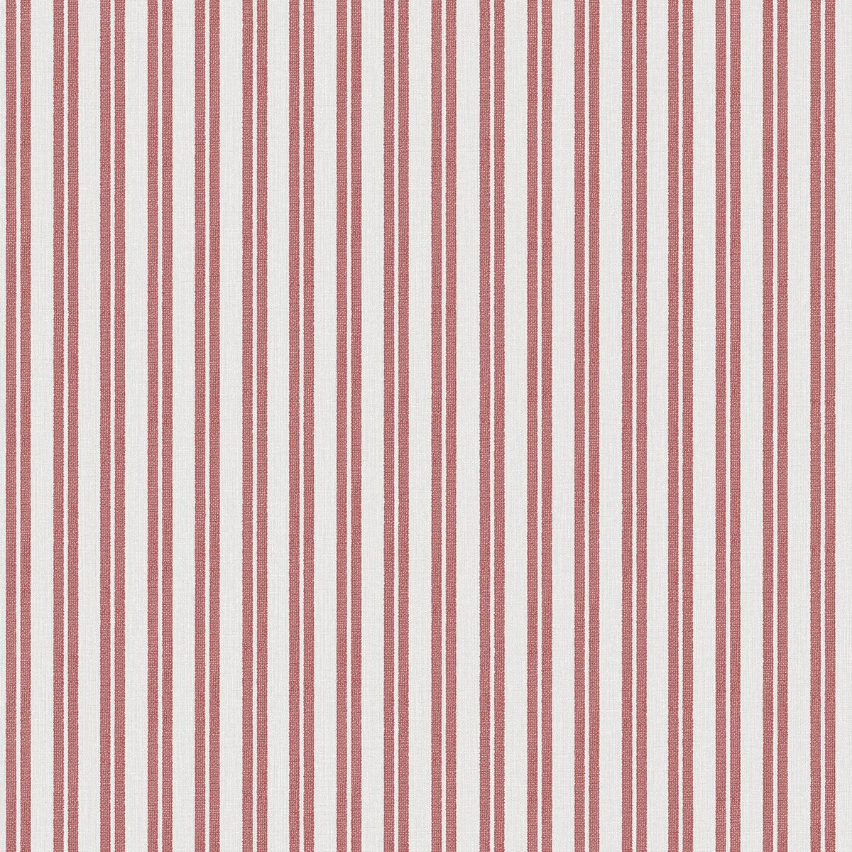 Gaston Y Daniela Oyambre Tomate Wallpaper