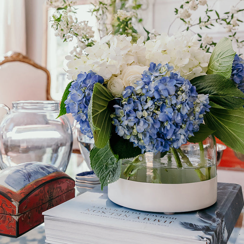 Etu Home Bloom Maritime 3-in-1 Glass Vase