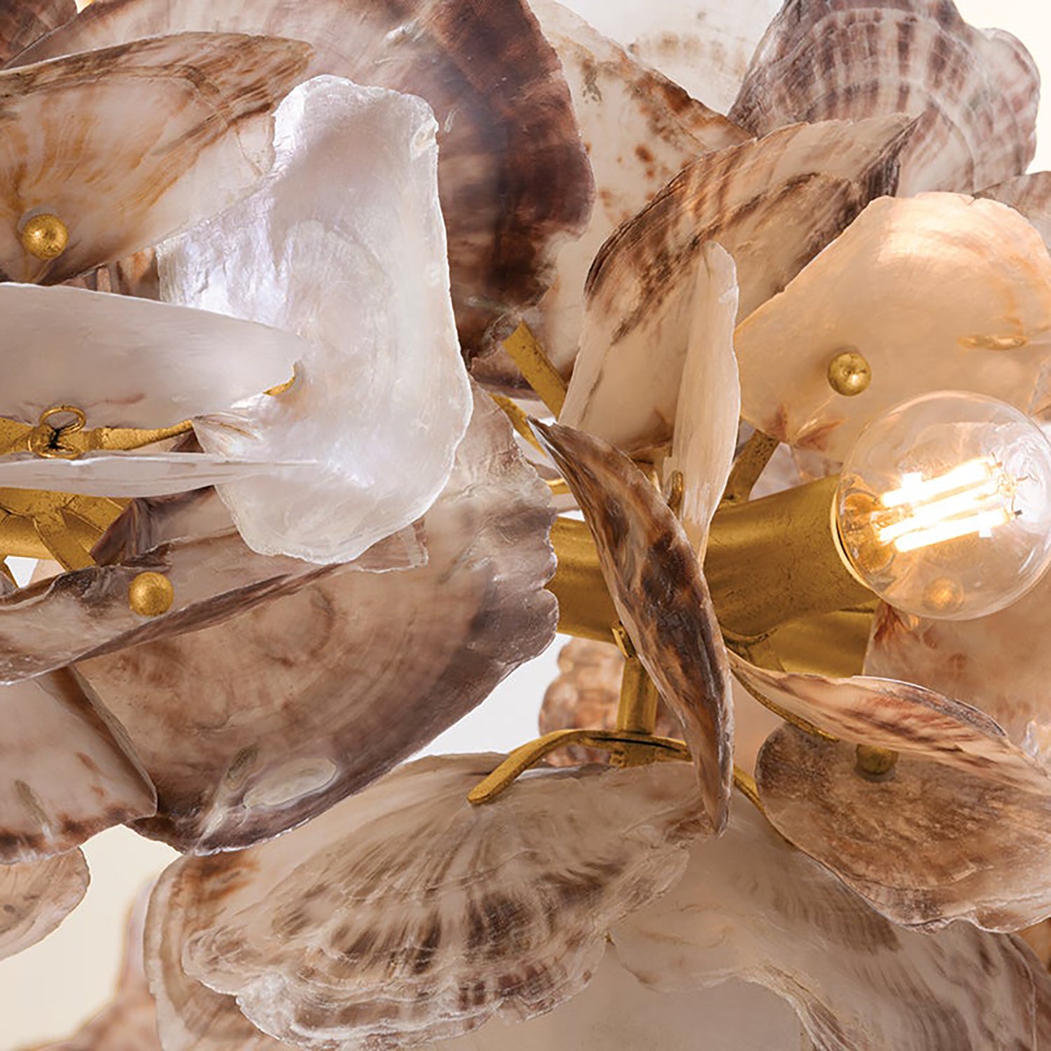 Corbett Lighting Galle Chandelier