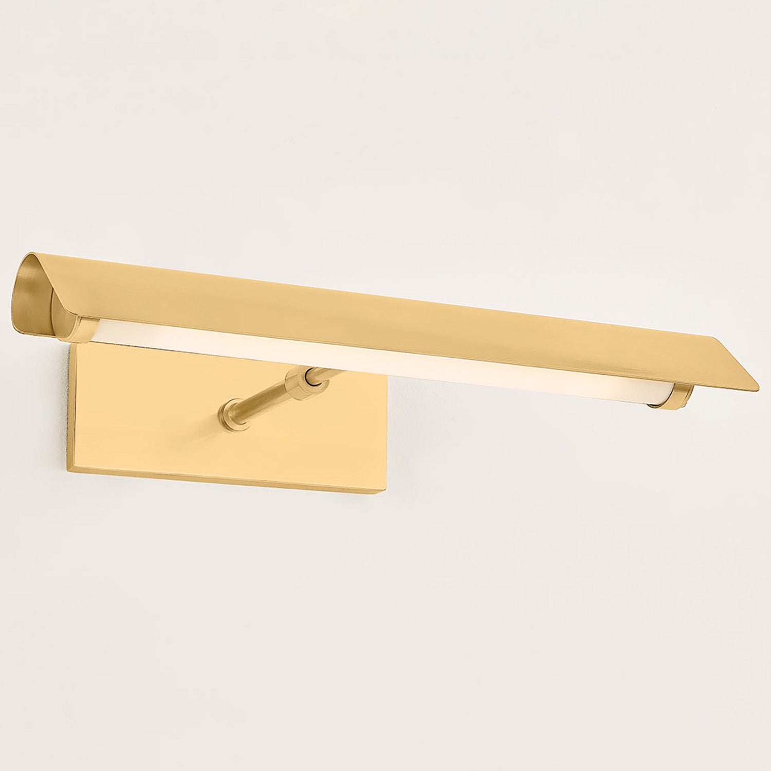 Mitzi Regan Picture Light