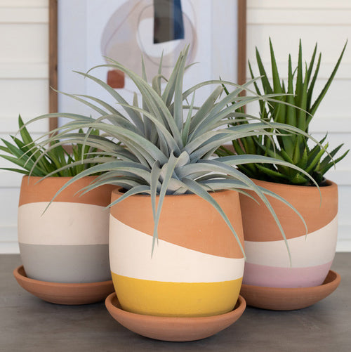 Color Dipped Pot Set of 3