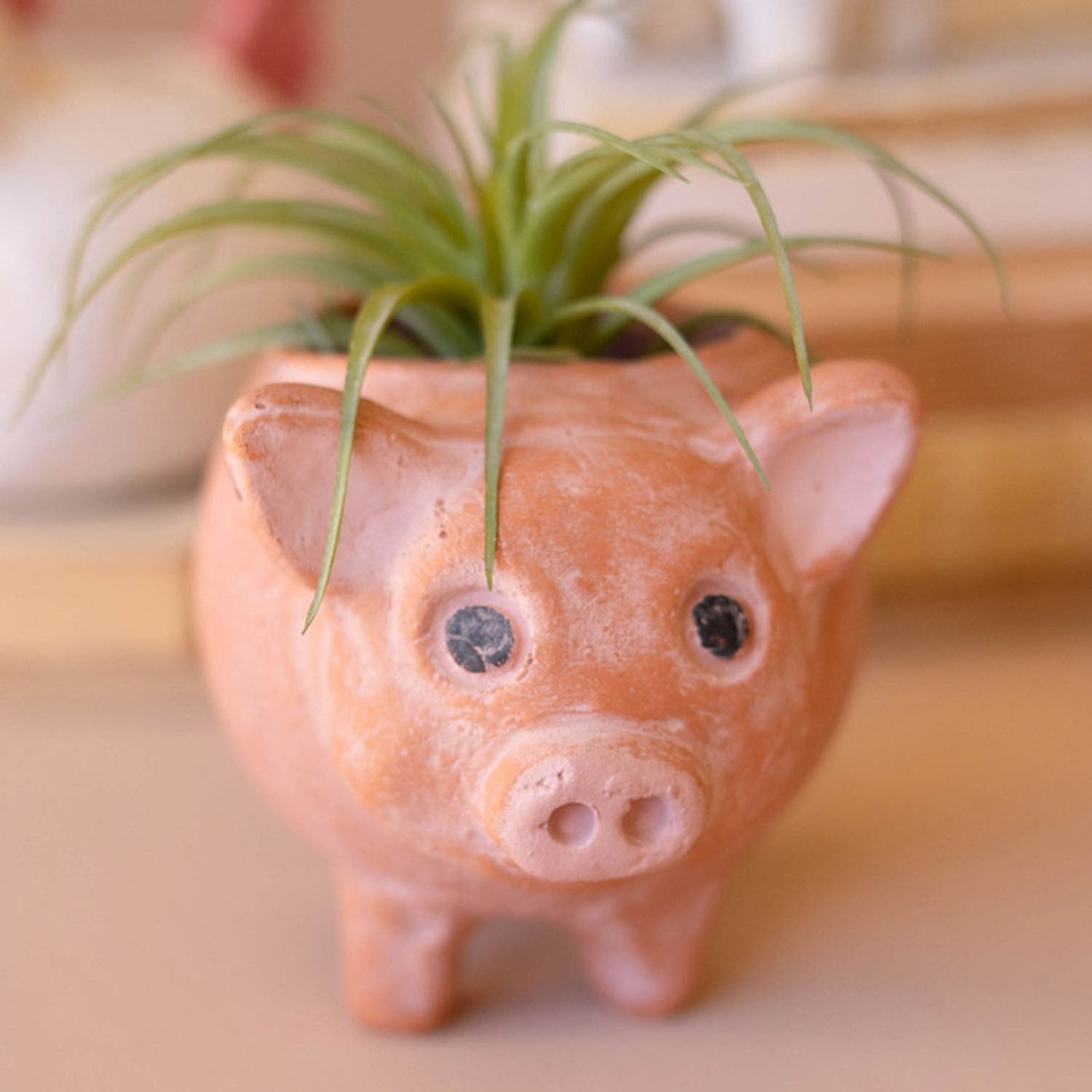 Farm Animal Planter Set of 4