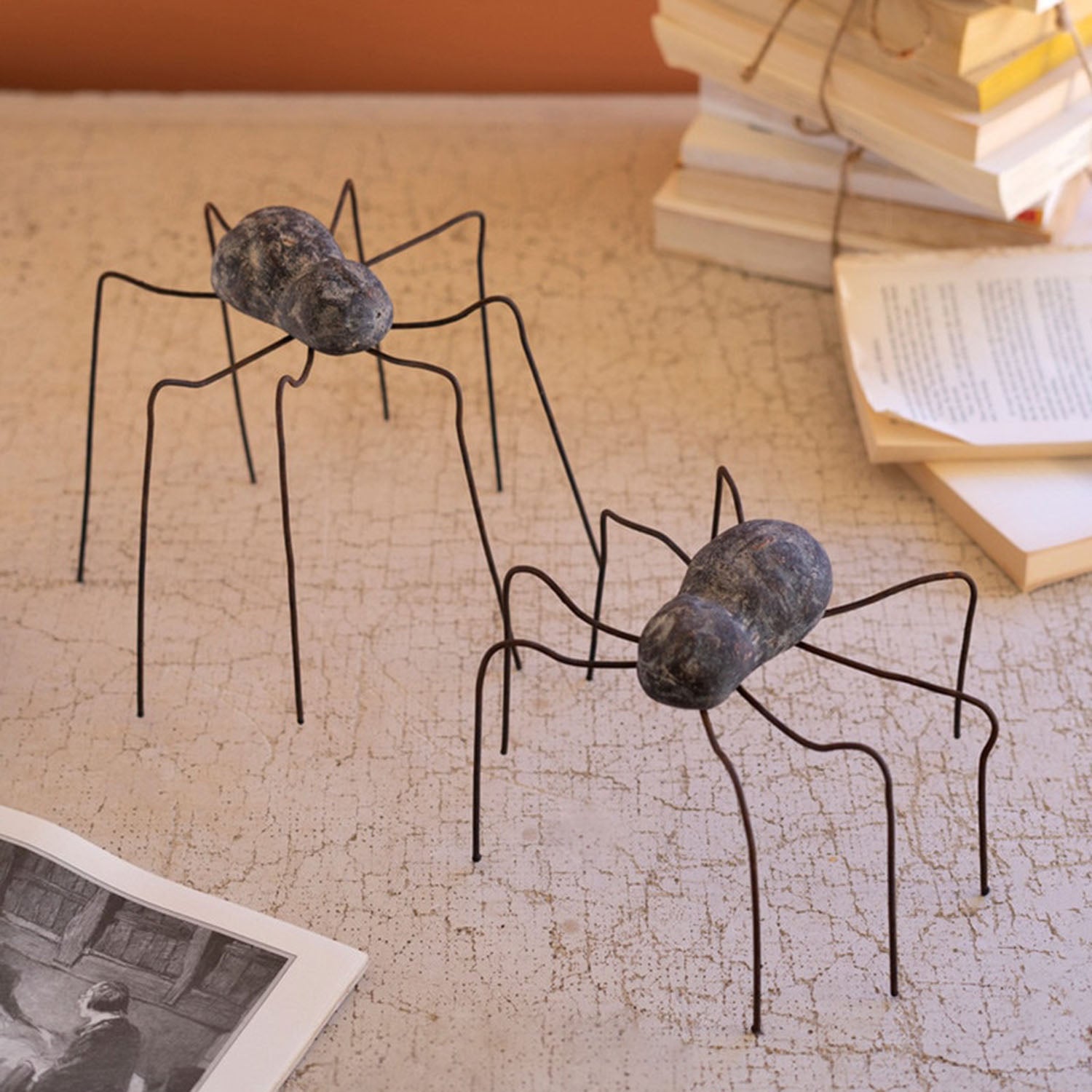 Spider Set of 2