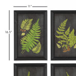 Fern Botanical Framed  Wall Art Set of 9