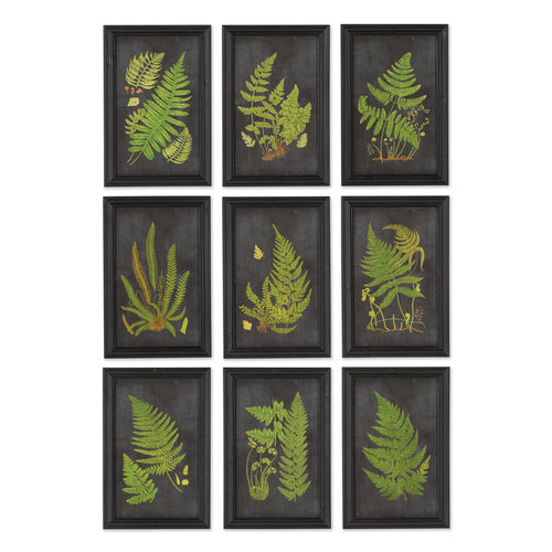 Fern Botanical Framed  Wall Art Set of 9