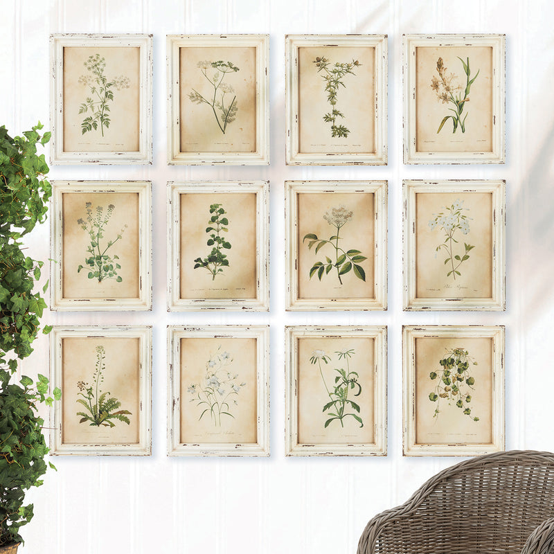 Photo inspiration: Botanical Wall Decor Ideas Reference: Wild Flower Botanical Framed Wall Art Set Of 12