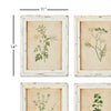 Wild Flower Botanical Framed Wall Art Set of 12