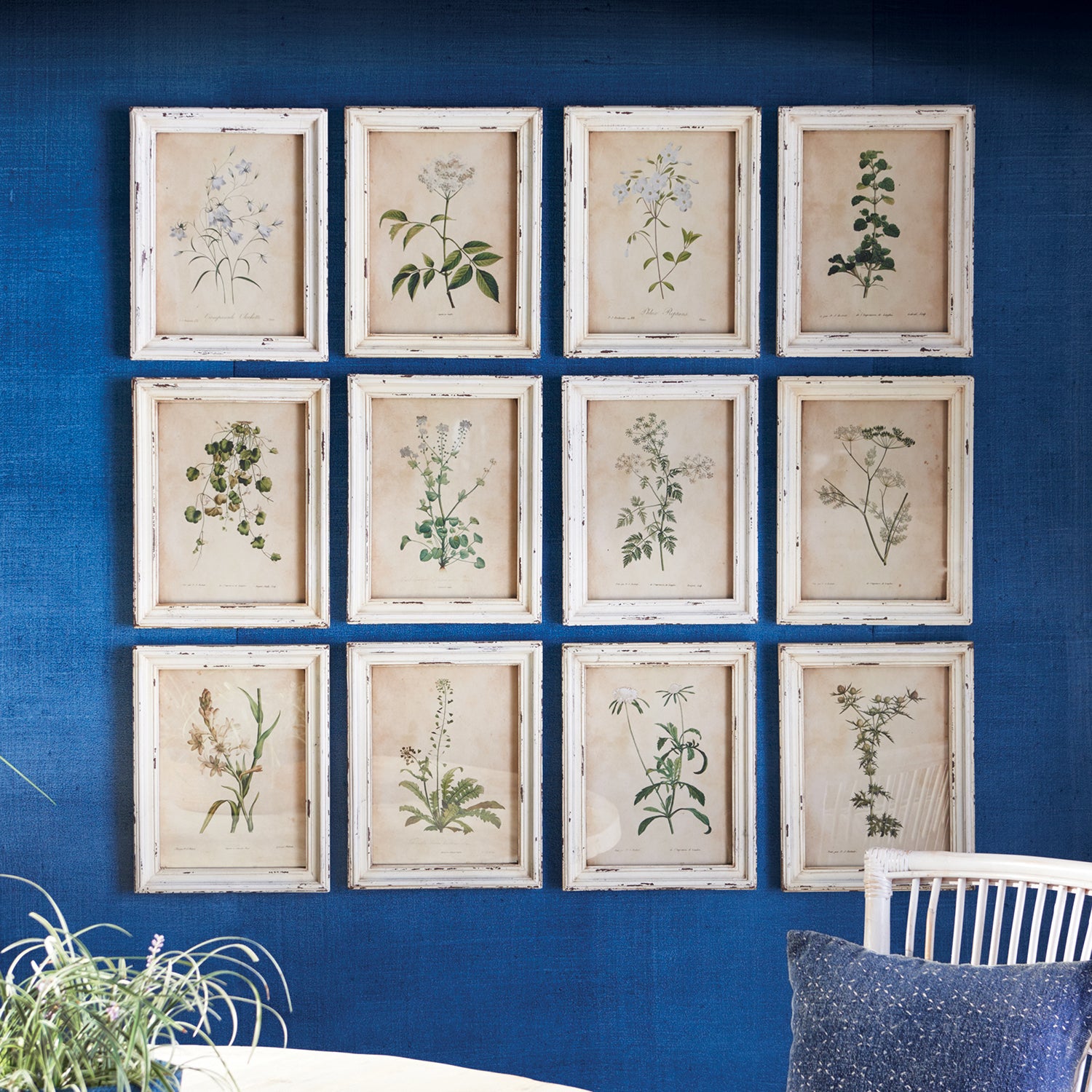 Wild Flower Botanical Framed Wall Art Set of 12