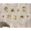 Framed Aviary Bird & Nest Habitat Print Wall Art Set of 9