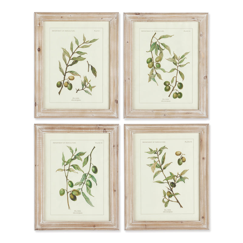 Olive Leaf Botanical Framed Wall Art Set of 4