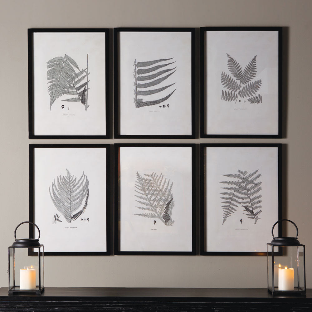 Fern Gray-Tone Framed Wall Art Set of 6