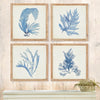 Coral Watercolor Framed Wall Art Set of 4