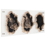 Phillips Collection Floating Petrified Double Slice Wall Art