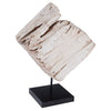 Phillips Collection Eroded Wood Block on Stand