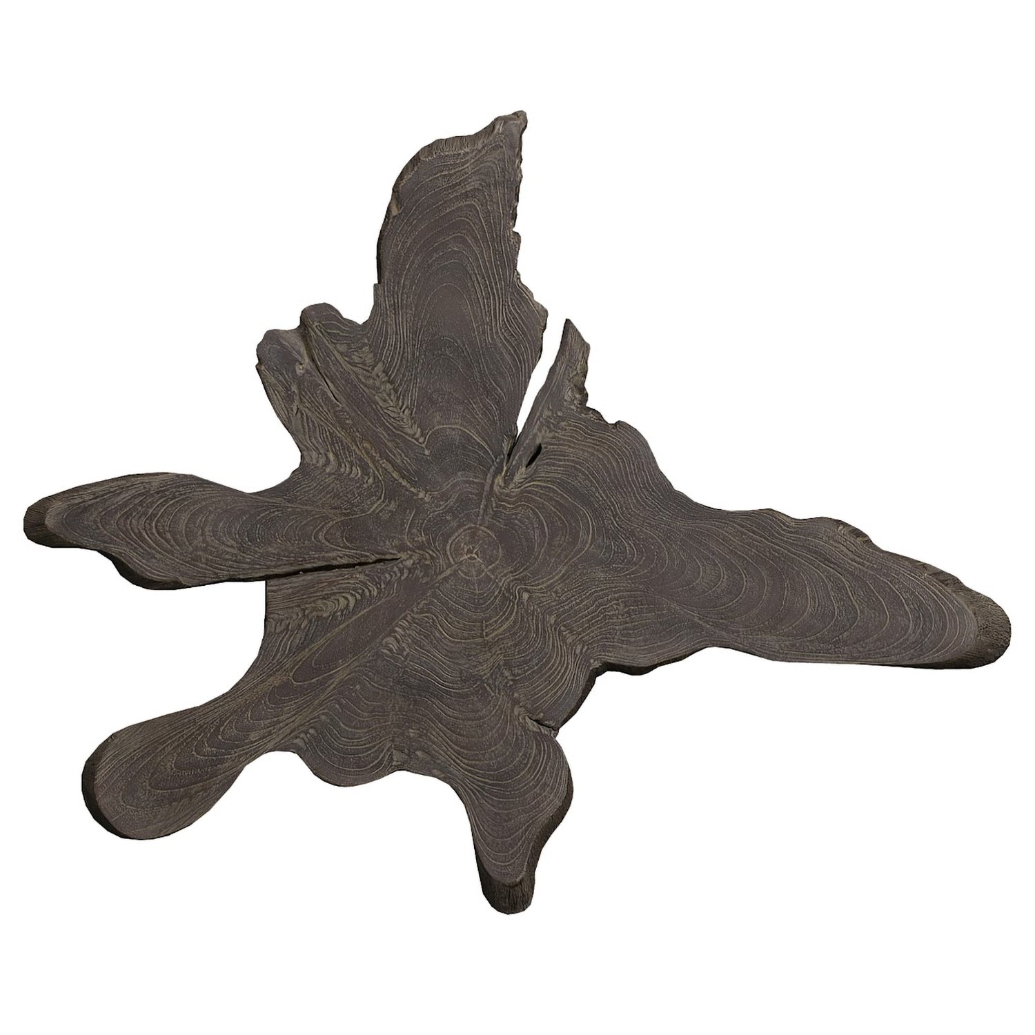 Phillips Collection Freeform Teak Wall Slice