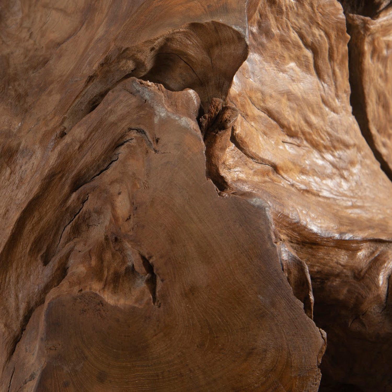 Phillips Collection Teak Wood Ball Tabletop Accent