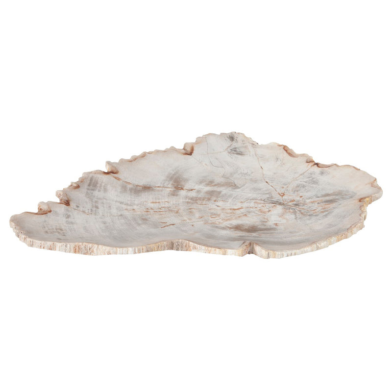 Phillips Collection Petrified Wood Plate