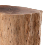 Phillips Collection Longan Wood Stool