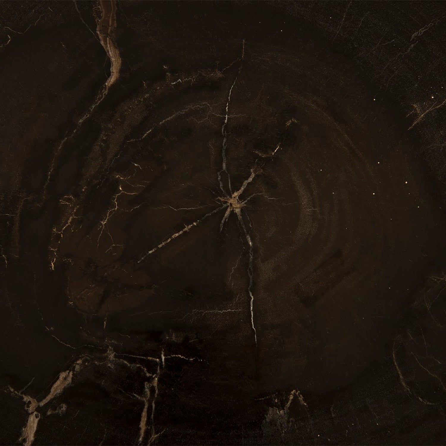 Phillips Collection Petrified Wood Coffee Table