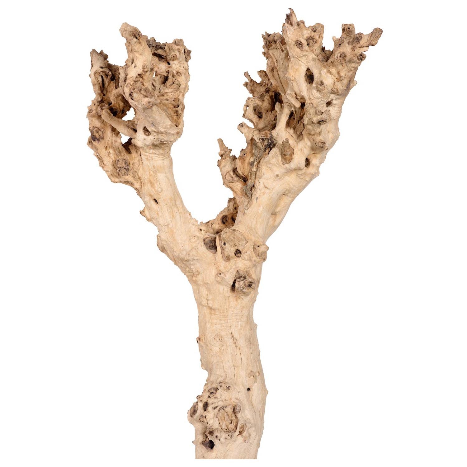 Phillips Collection Wood Sculpture