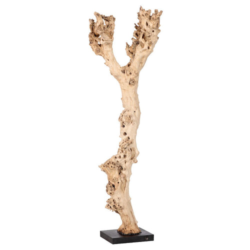 Phillips Collection Wood Sculpture