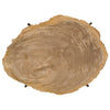 Phillips Collection Petrified Wood Tray