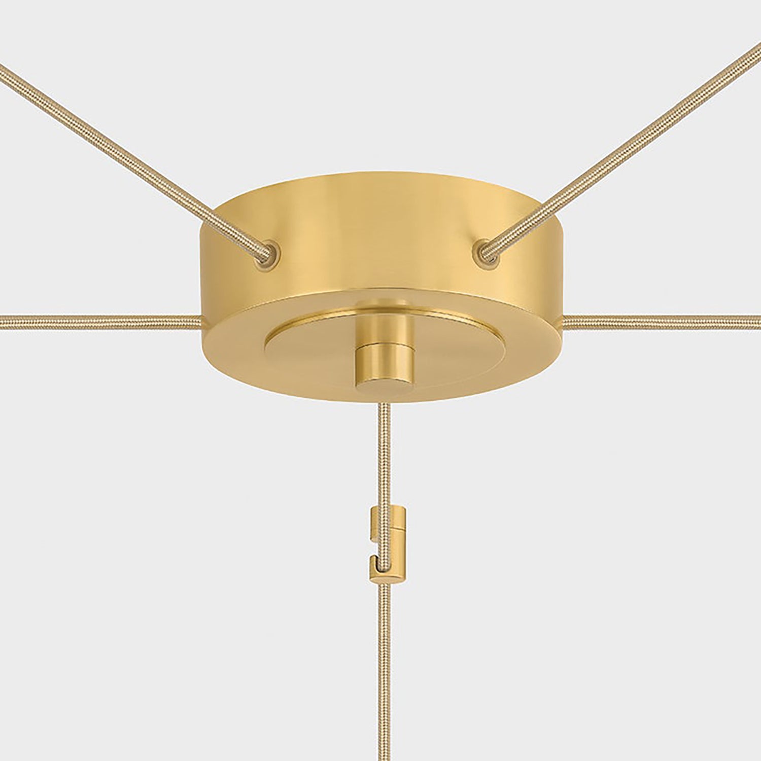 Hudson Valley Lighting Ironwood Chandelier