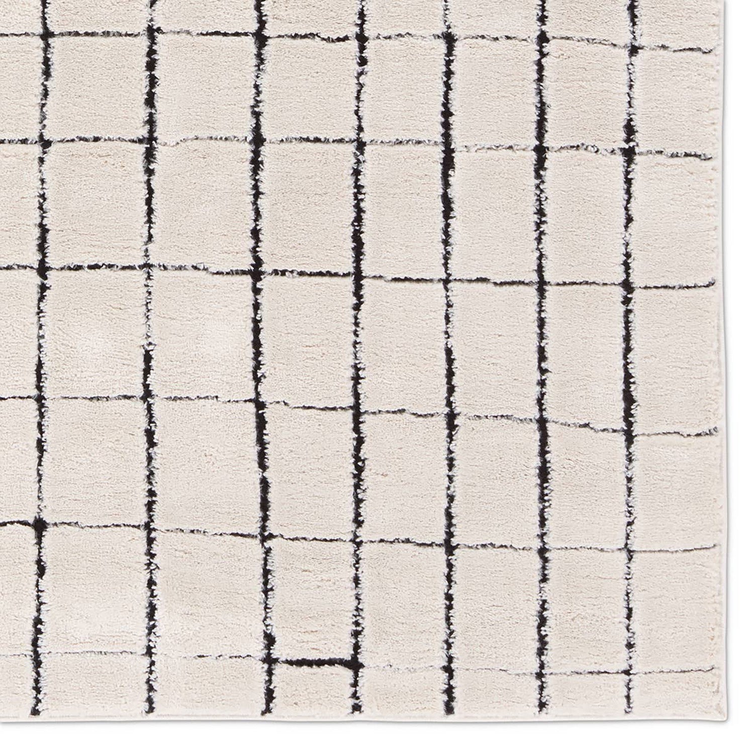 Label J by Jaipur Living Jaida Align Power Loomed Rug