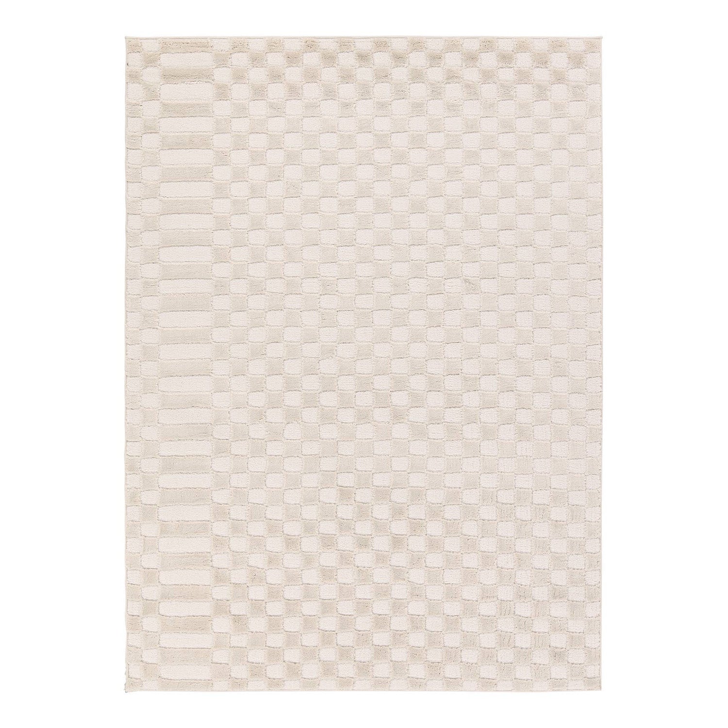 Label J by Jaipur Living Jaida Casa Power Loomed Rug