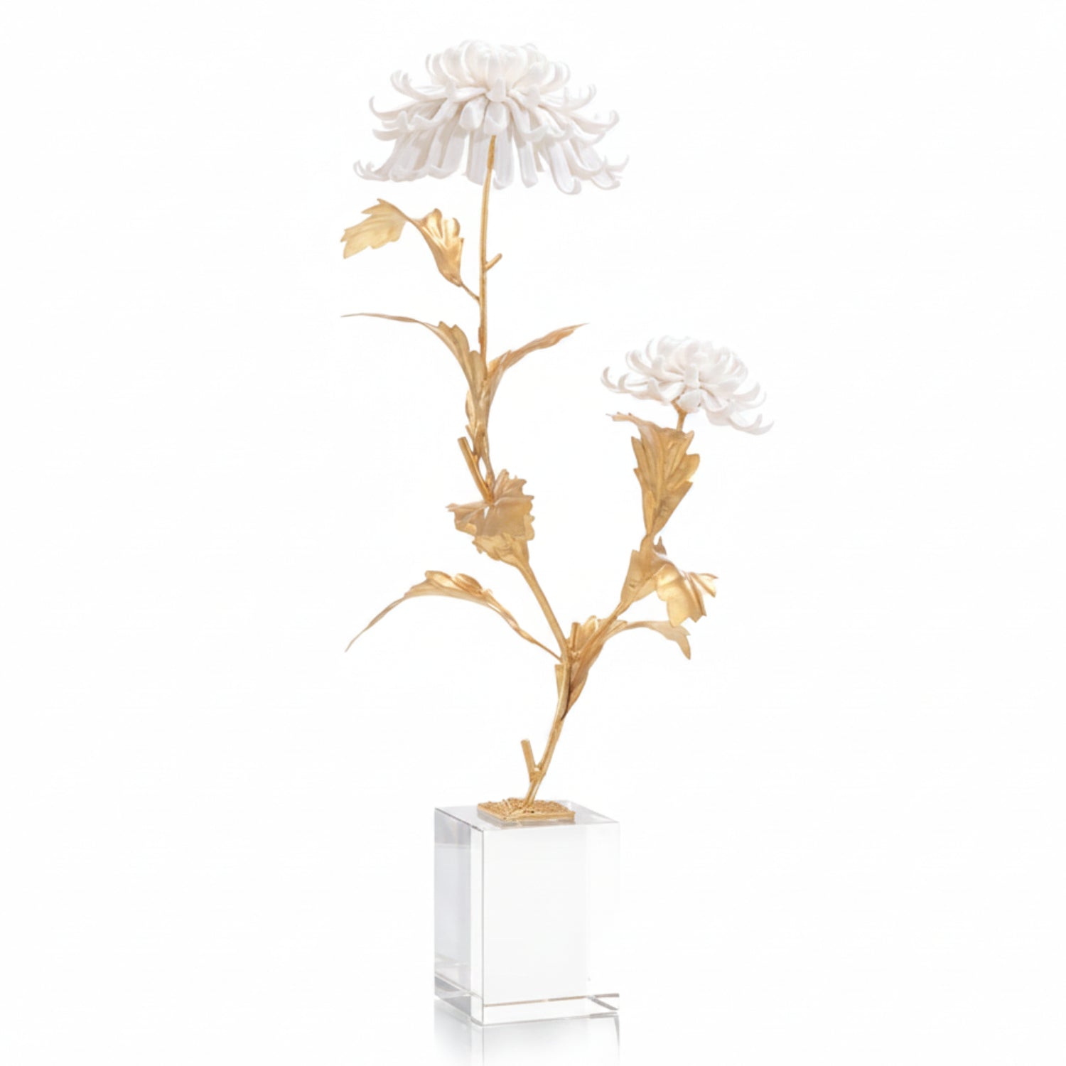 John Richard Avignon Chrysanthemums