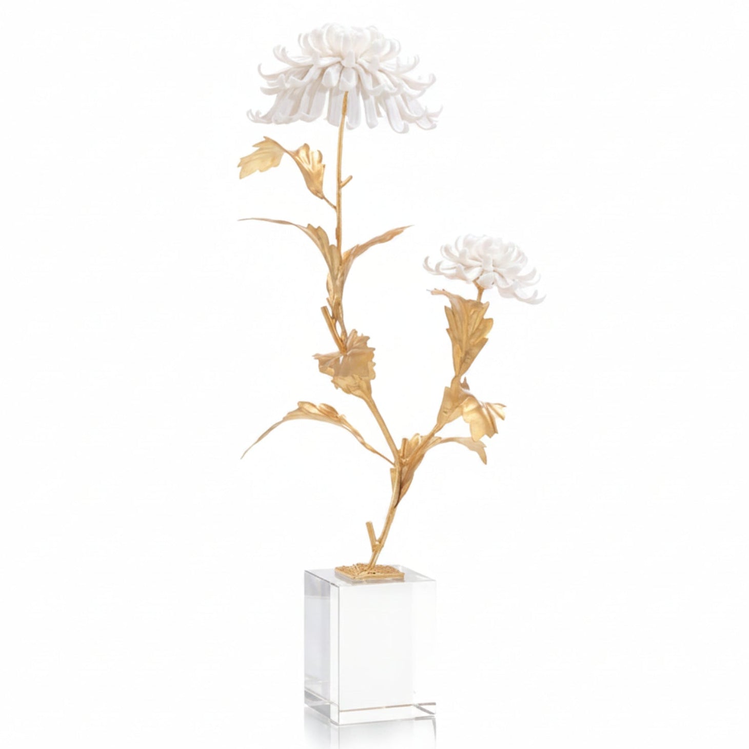 John Richard Avignon Chrysanthemums