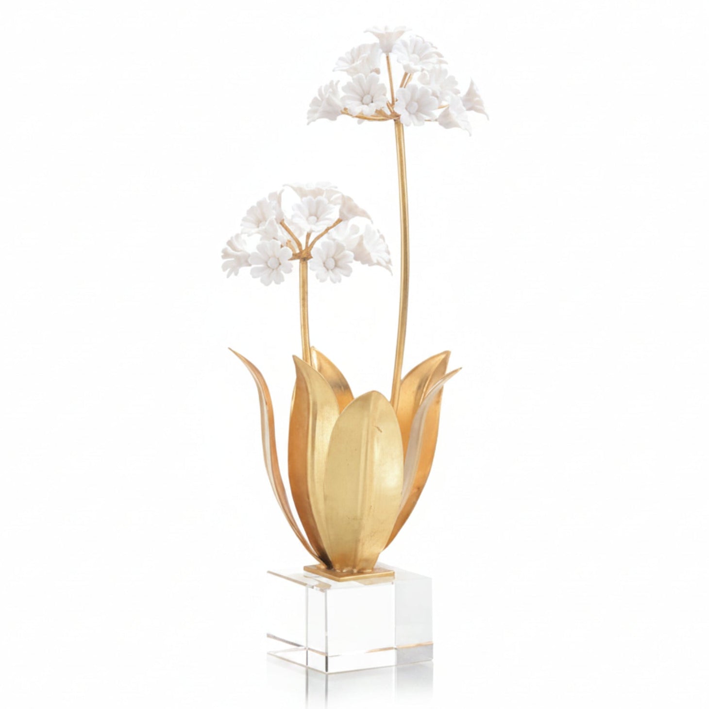 John Richard Allium Moly in Porcelain