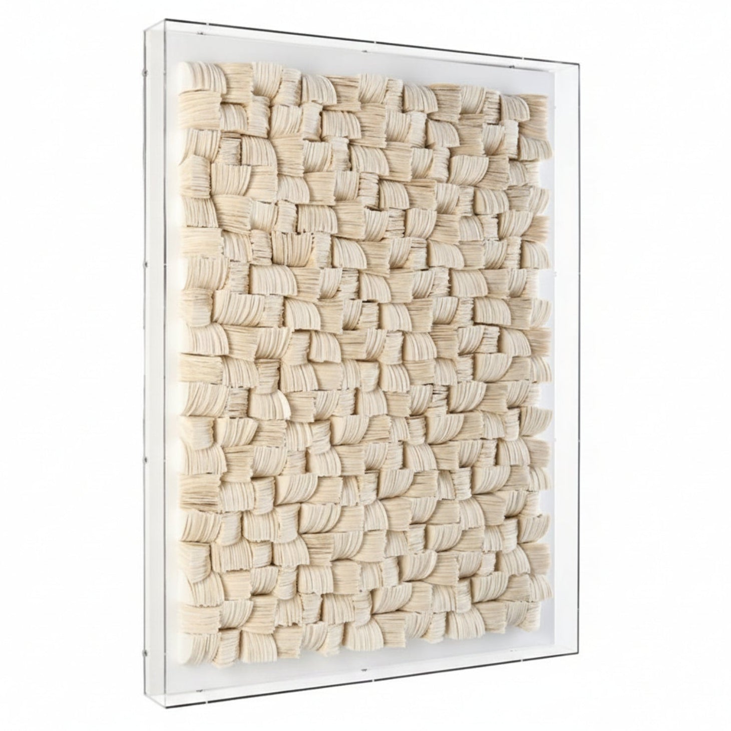 John Richard Tony Fey's Organic Elements Shadowbox
